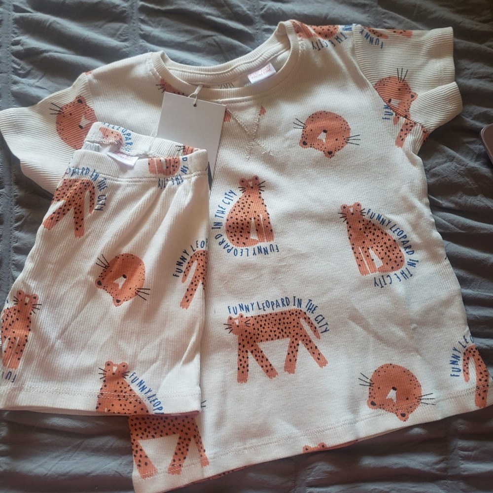 Zara short set